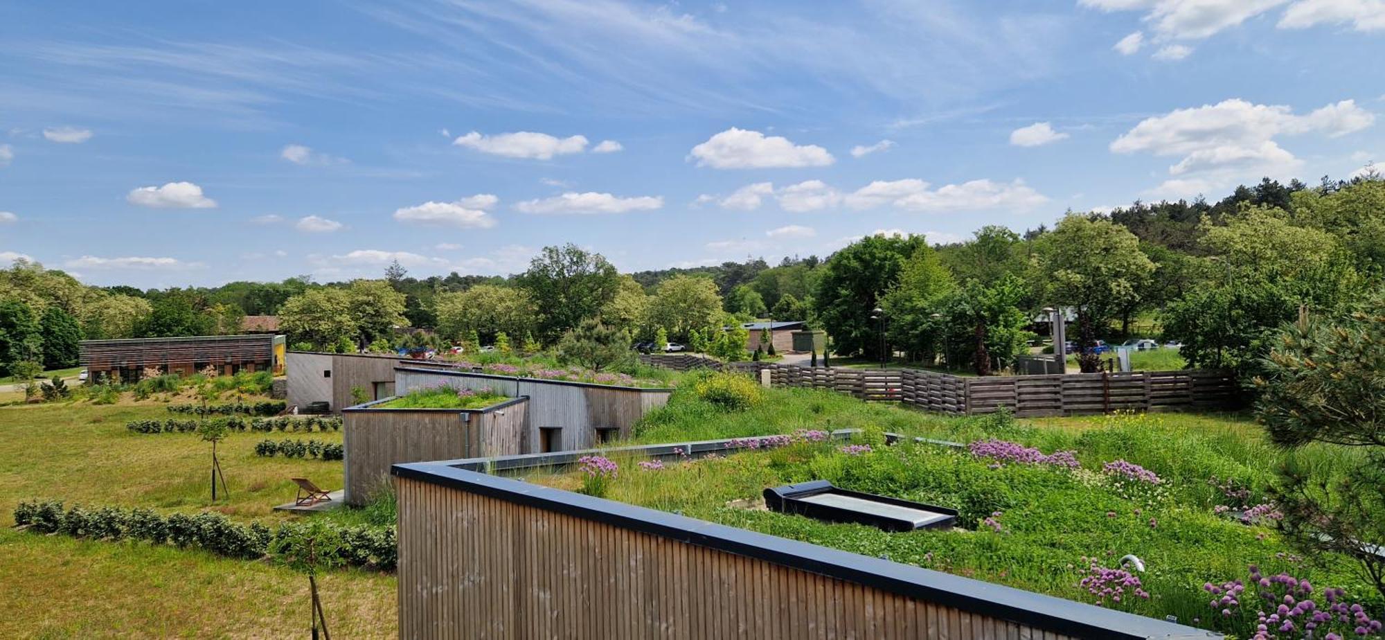 Domaine De L'Epau Eco-Resort Yvré-lʼÉvêque Eksteriør billede